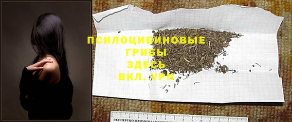дживик Алексин