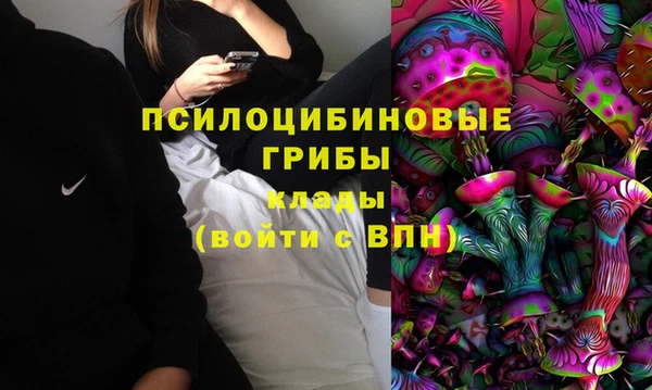 первитин Няндома