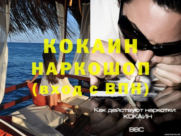 дживик Алексин