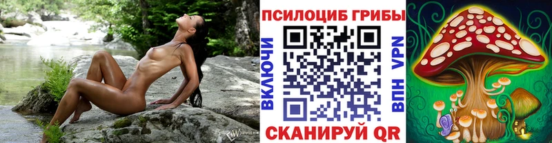Псилоцибиновые грибы мицелий наркота Томмот